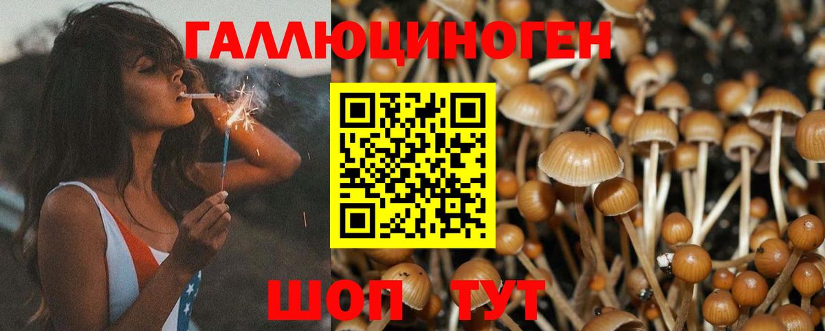 Галлюциногенные грибы прущие грибы Ангарск